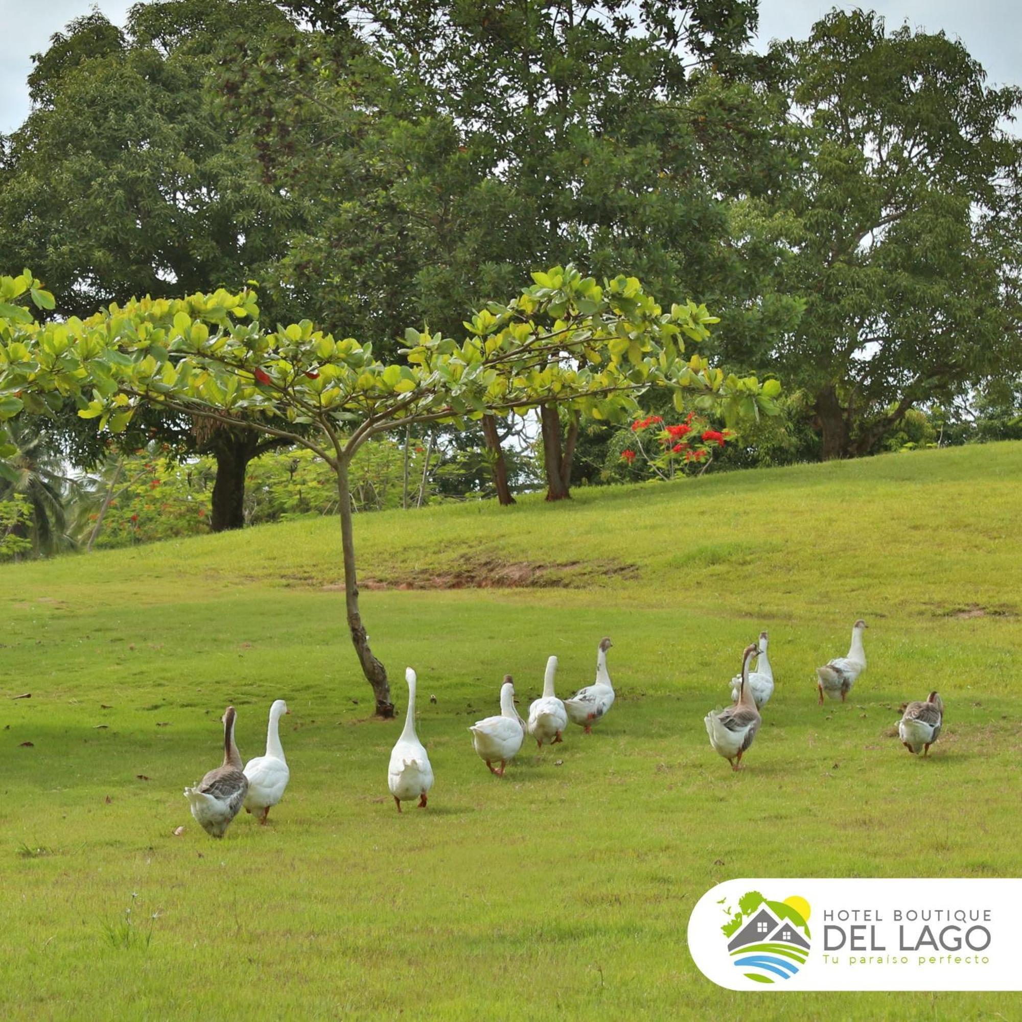 Hotel Boutique Del Lago Nagua Zewnętrze zdjęcie